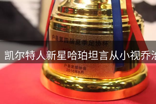 凯尔特人新星哈珀坦言从小视乔治为偶像
